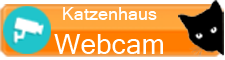 Katzenhaus Webcam