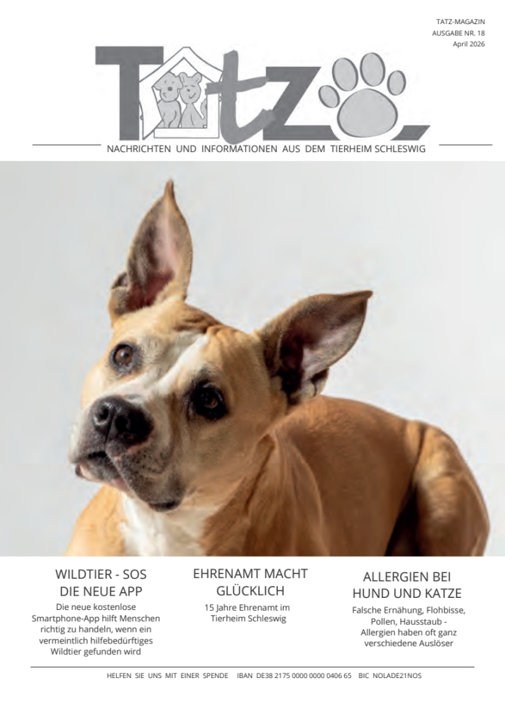 Tatz Ausgabe Nr. 18